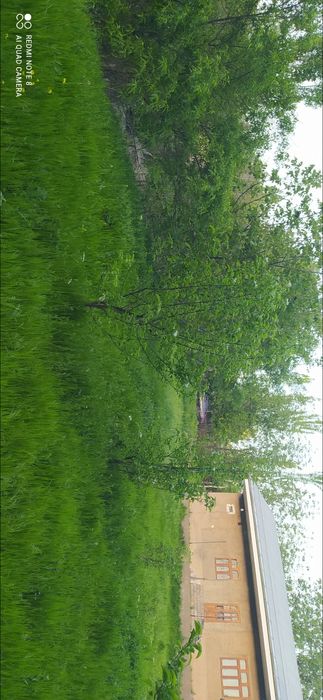 Ок тош Чимбойликда дачабоб жой