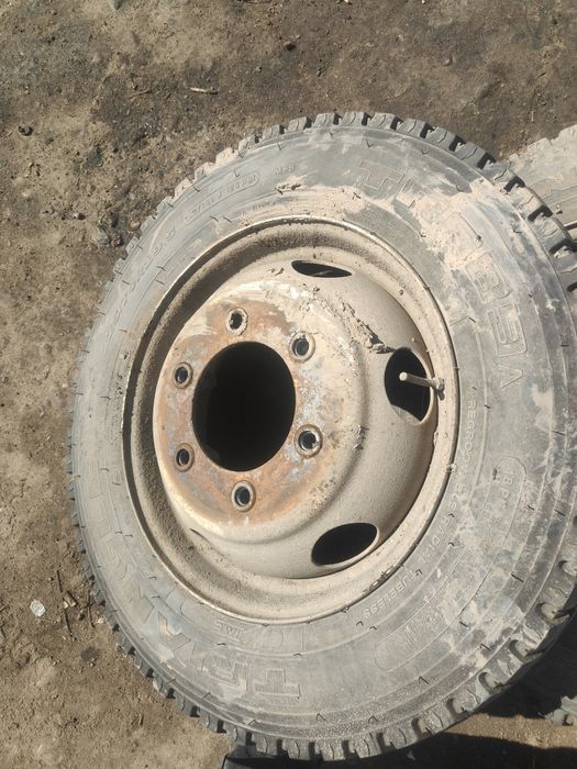 R19,5 шины с дисками