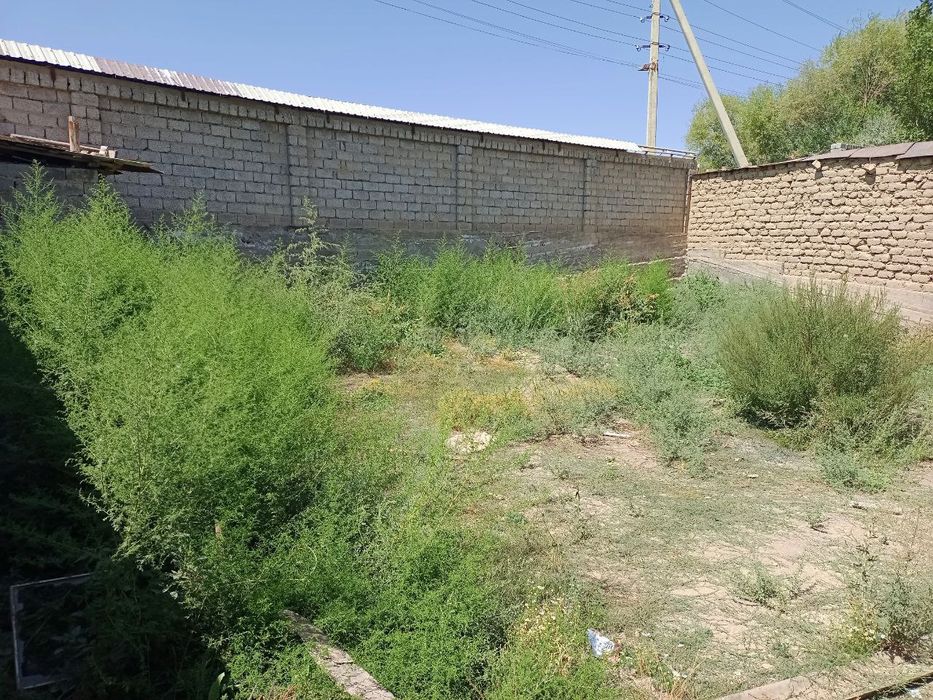 Земля Назарбек Текстиль 3 суток