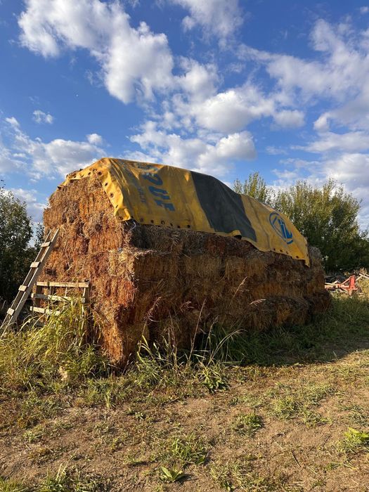 Baloti de Lucerna, Paie, Fan