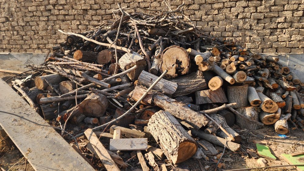 O‘tin sotiladi  2. 3ta kamaz chiqadi xammasi mevali daraxt