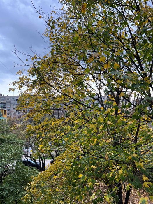 Тристаен апартамент под наем в кв. Левски от собственик