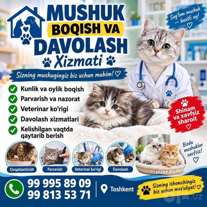 Mushuk boqish va davolash xizmati