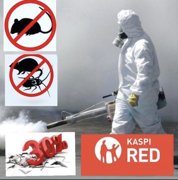 Термиты, клопы, тараканы