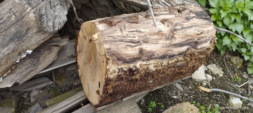 ПРОДАЮ (не покупаю) дрова распиленной на бруски орешины и тутовника