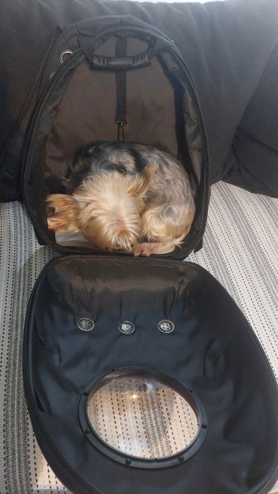 Vând rucsac transport pisici sau căței de talie mica