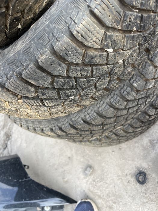 Гуми 175 65 15 Gislaved