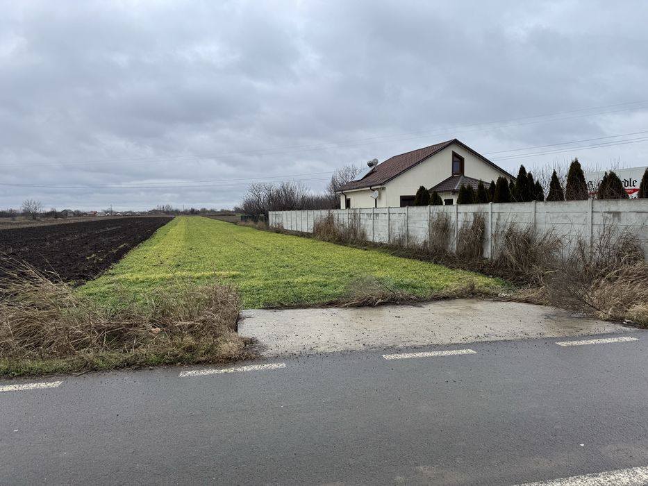 Teren intravilan de vanzare in Cazasu