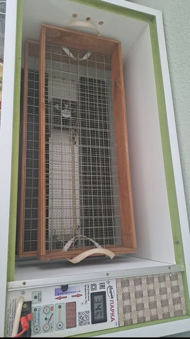 Инкубатор  норма парка С10