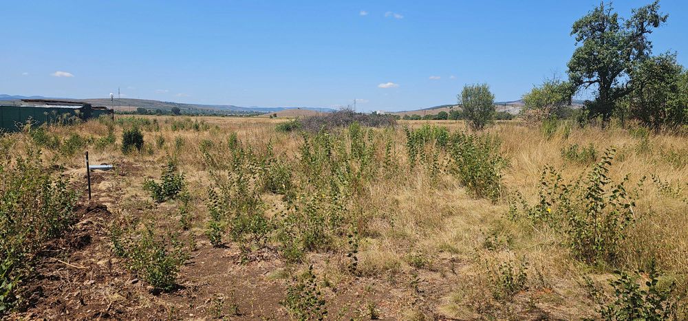 Продава се Парцел в с. Друган, Област Перник - 1248 кв.м за 25 €/кв.м - Снимка #6