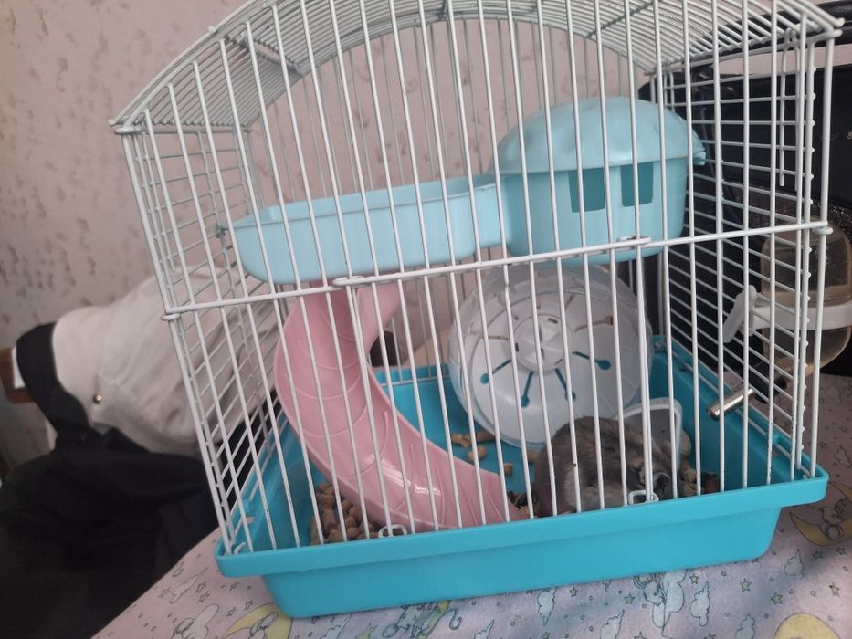 Хомяки вместе с клеткой