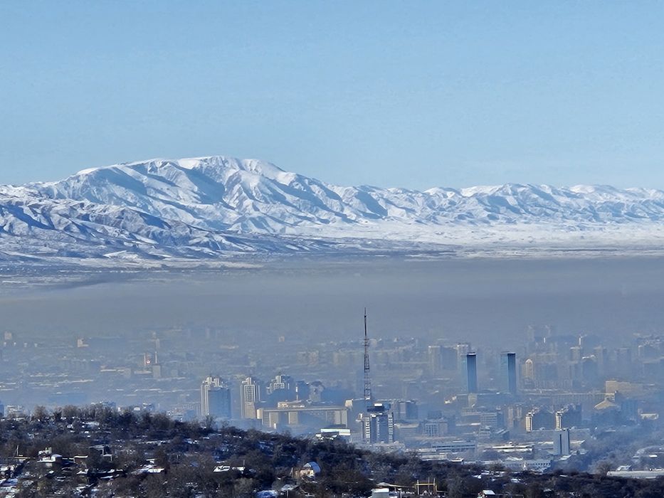 Земельный участок