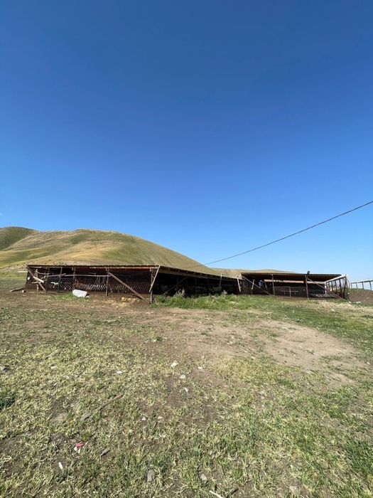 Фазенда в Акыртобе