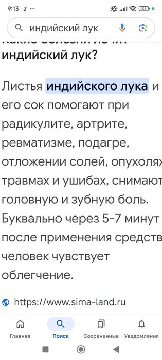 Индийский лук продам