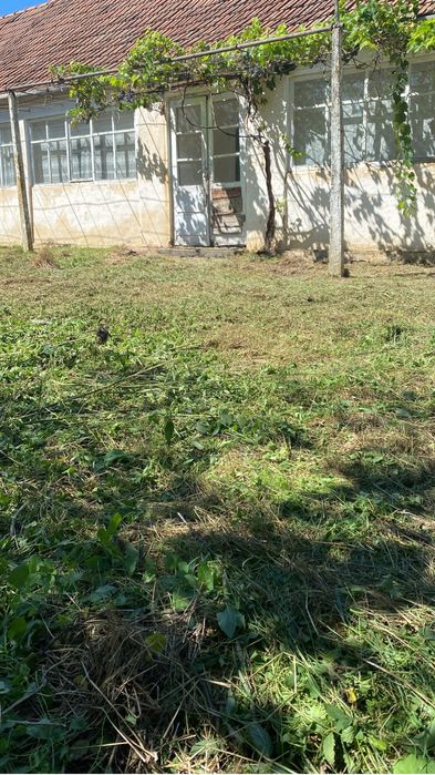 Vand casa in Firiteaz , comuna Sagu , judetul Arad