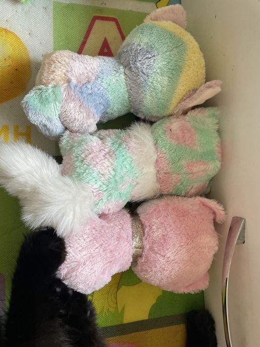 3 кошечки фирма: Ty