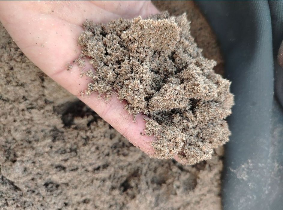 Чиноз Кум Ювилган кум Мыти Писок