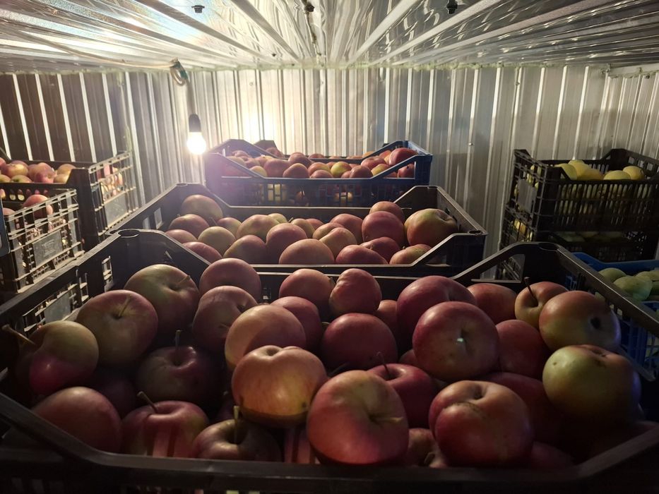 Vand mere care nu au fost stripite