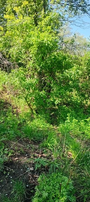 Продам участок в городе