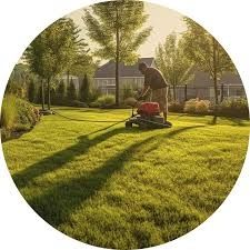 Професионално почистване на дворове и градини – Бързо и качествено!