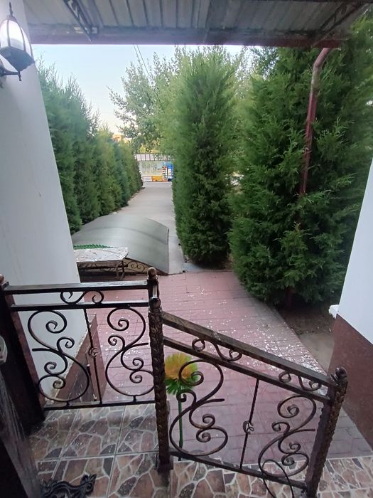 Юнусабад 19 Корзинка 2х3/1/5 с мебелью и техникой