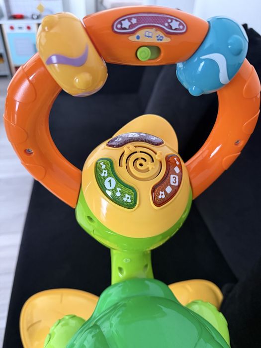 Broscuta saltareata vtech