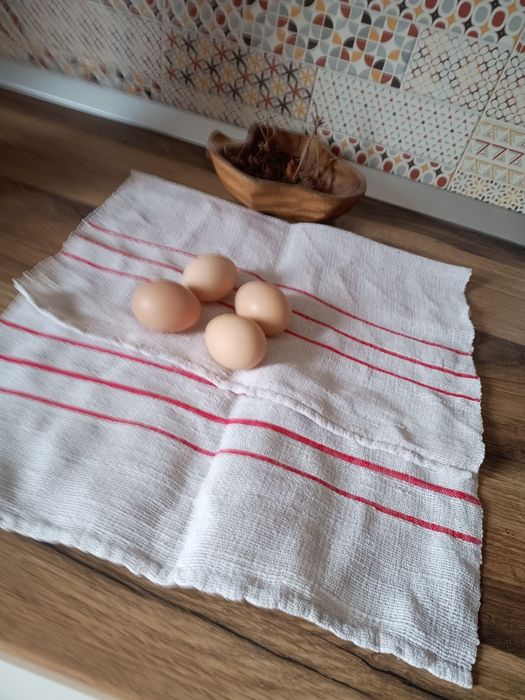 Oua bio de la gaini de casa