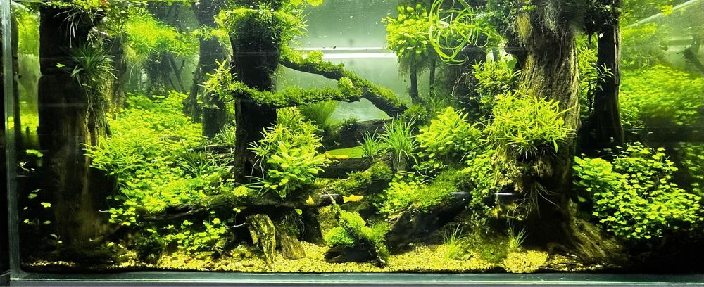 Коряги и камни для аквариума