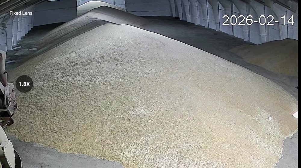 Пшеница, продам.