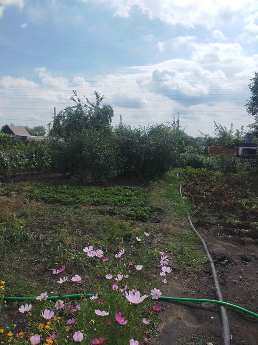 Дача, СО Текстильщик+1