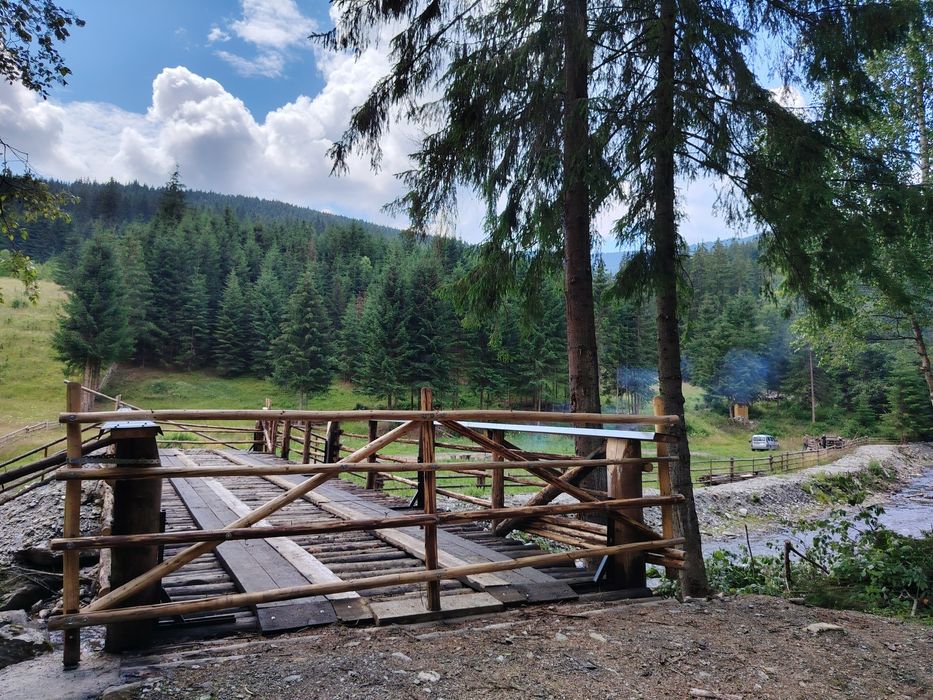 Vând teren în pădure  pt persoanele care doresc să-și construiască cabane din bușteni ,case tip hobbit ,case tradiționale sau să triască off grid..