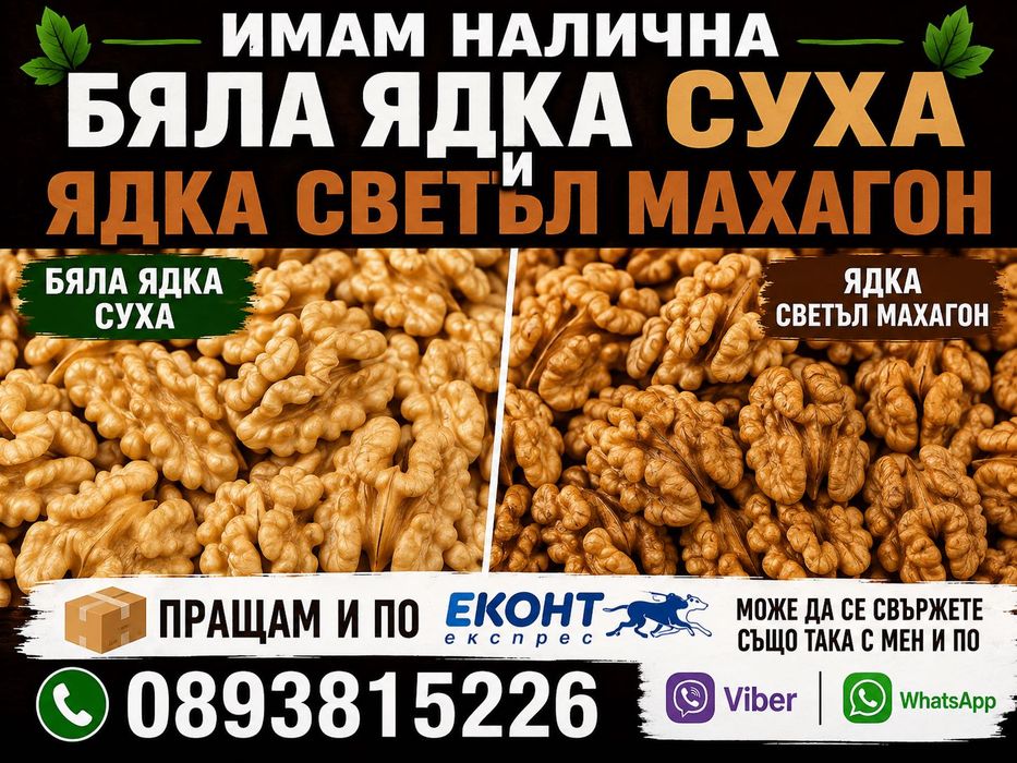 Суха ядка Бяла и светъл махагон