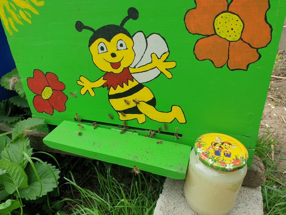 Miere de rapiță, salcâm, tei