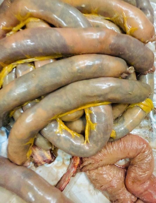 Свежее казы от шефа Гульмиры