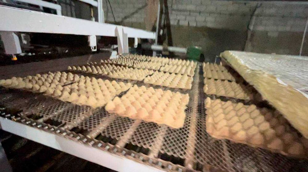 Продам/сдам готовый бизнес цех по производству флеек (картон для яиц)