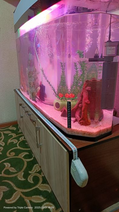 Akvarium quyma akril 250 Tali Ulgurib qoling+baliqlari bilan
