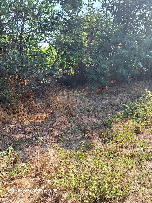 Парцел със стара къща за събаряне