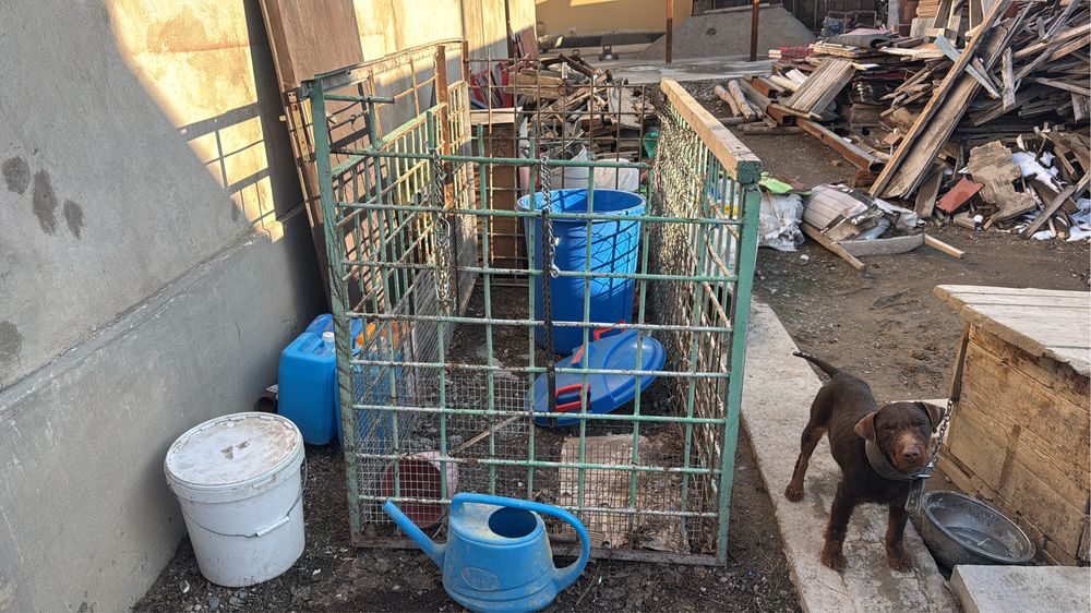 Вольер продается