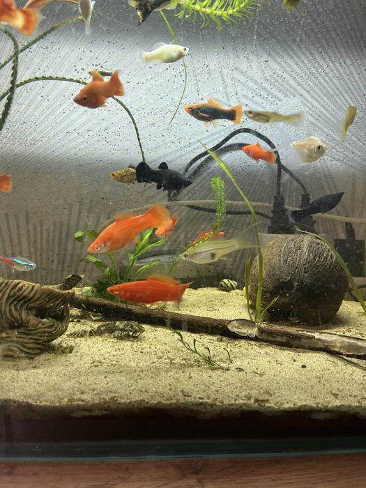 Продам аквариум с тумбочкой