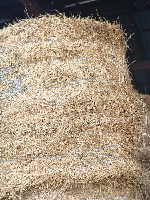 Vand Baloti de Lucerna de Calitate