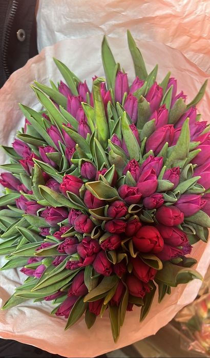 Тюльпаны оптом по 450тг