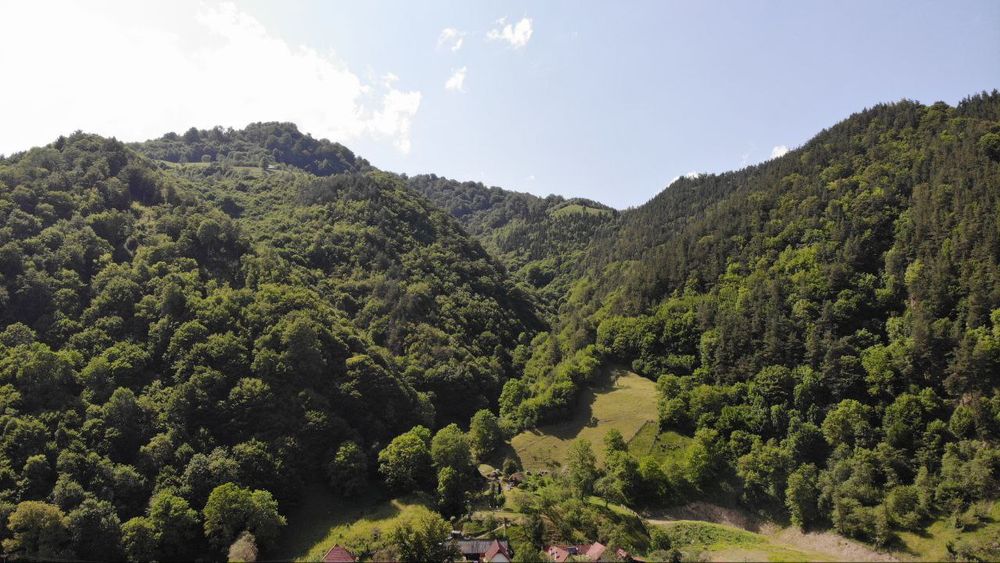 Casa Muntilor Prejba Rau Sadului 
Se afla in Râu Sadului Județul Sibiu