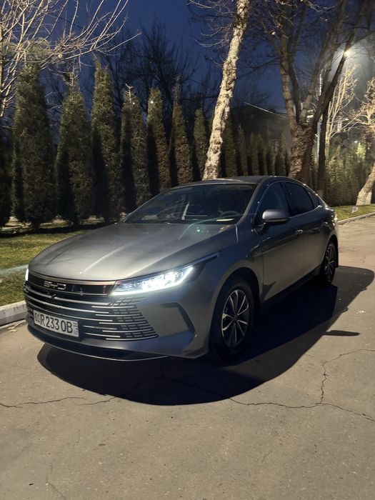 Byd chazor 55км 2-позиция гибрид