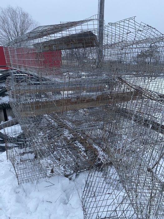 Клетка клетка клетка