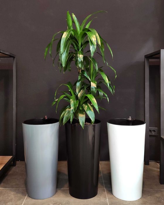 Горшки и кашпо от  Green Town studio