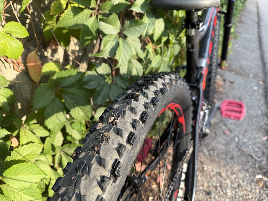 Giant stance M..