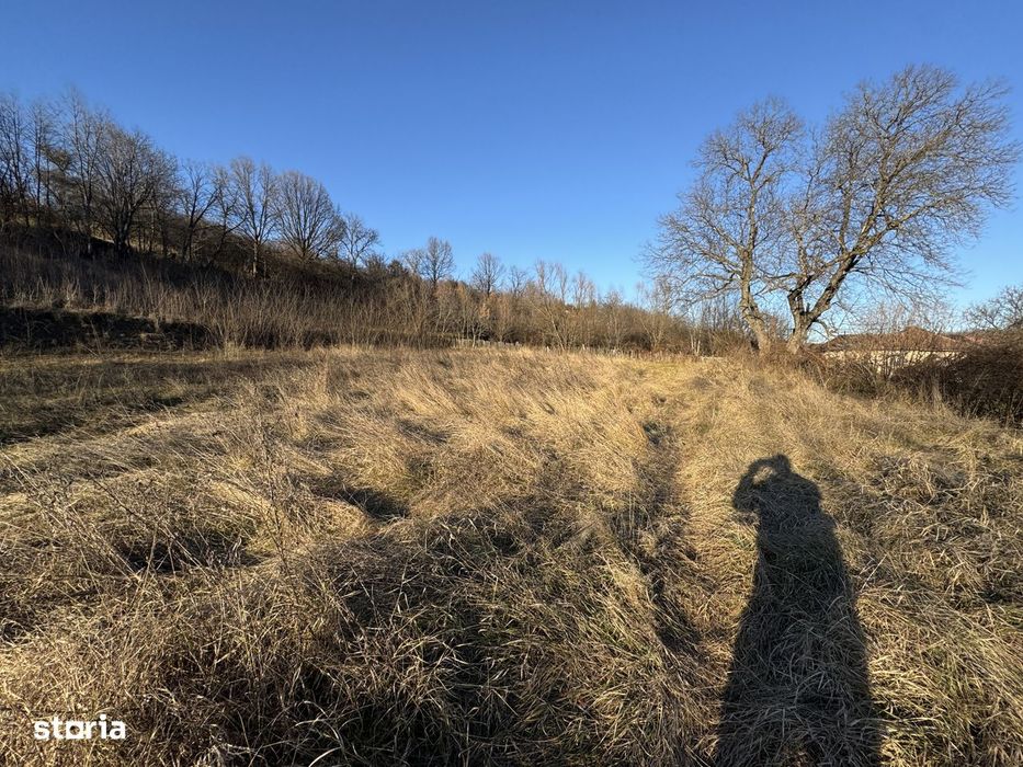 4.000 mp intravilan in Moinesti pentru dezvoltare rezidentiala P+2