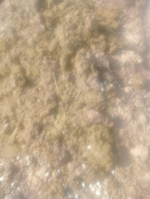 Навоз с бесплатной доставкой