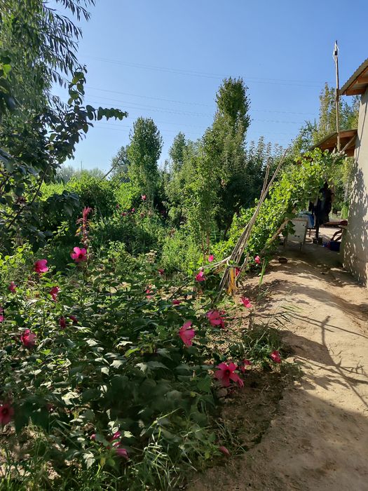 4 ханалы баняасы бар Жай сатылады  бахасы 270мл келсимли