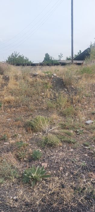 Отдам бесплатно грунт самовывоз